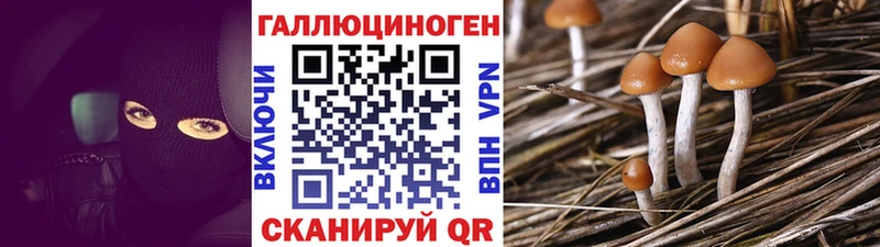 где продают   Ермолино  Псилоцибиновые грибы Magic Shrooms 